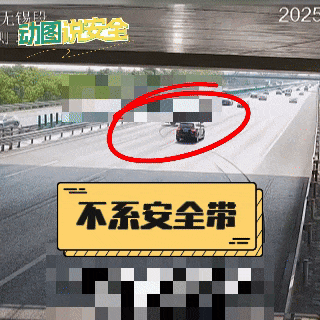 人车翻滚、甩出车外……不系安全带，危险重重-有驾