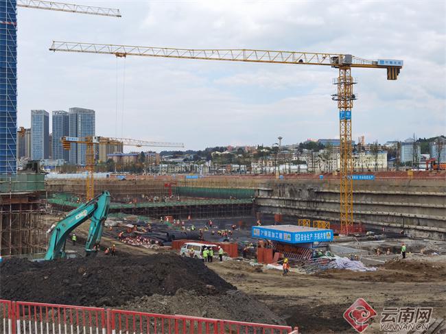 瞄准世界一流!昆明斗南鲜花小镇再提档升级