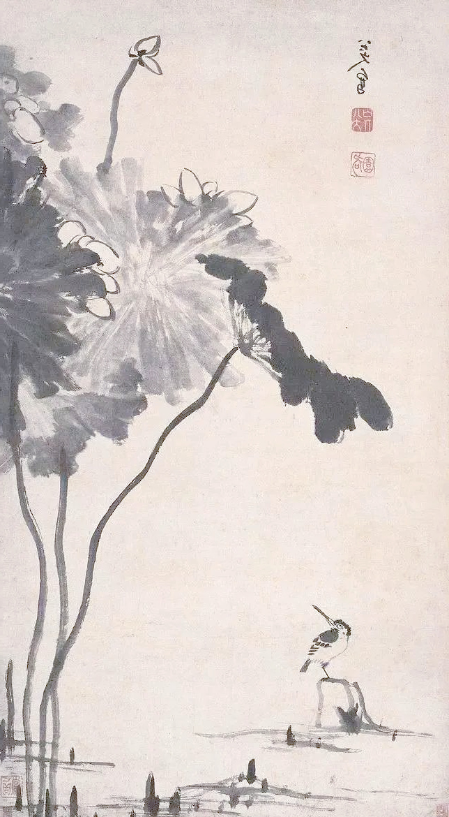 徐渭与八大山人笔下的荷花:大写意艺术的传承与发扬