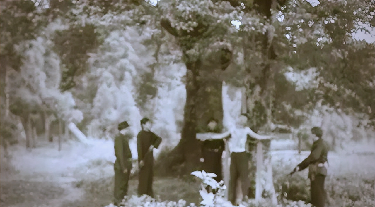 闽东革命烈士凌福顺:黑白照片中的英勇传奇