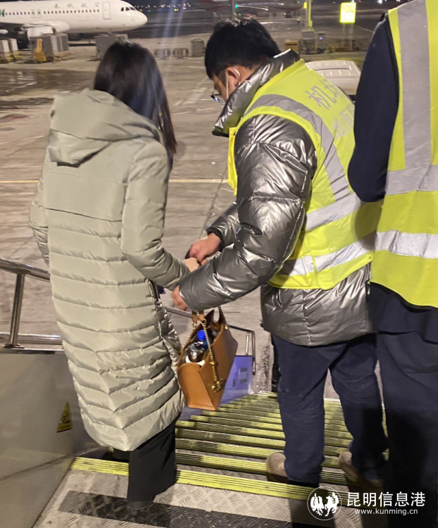 萬米高空旅客突發疾病休克 蘇南瑞麗航空爭分奪秒上演生命接力