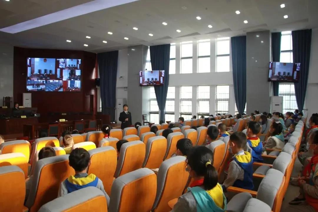 仁和区东风小学百余名法学生旁听案件庭审