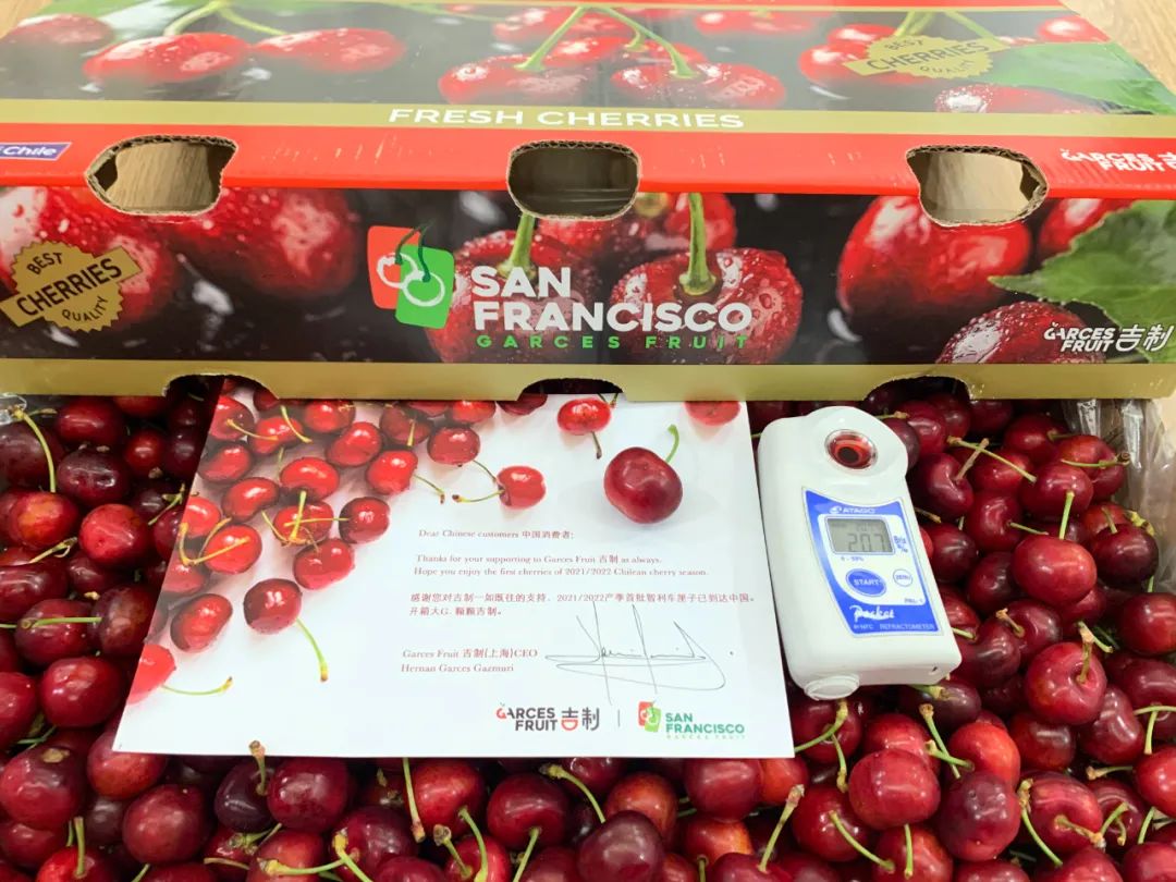 seasons first shipment of chilean cherries hits guangzhou