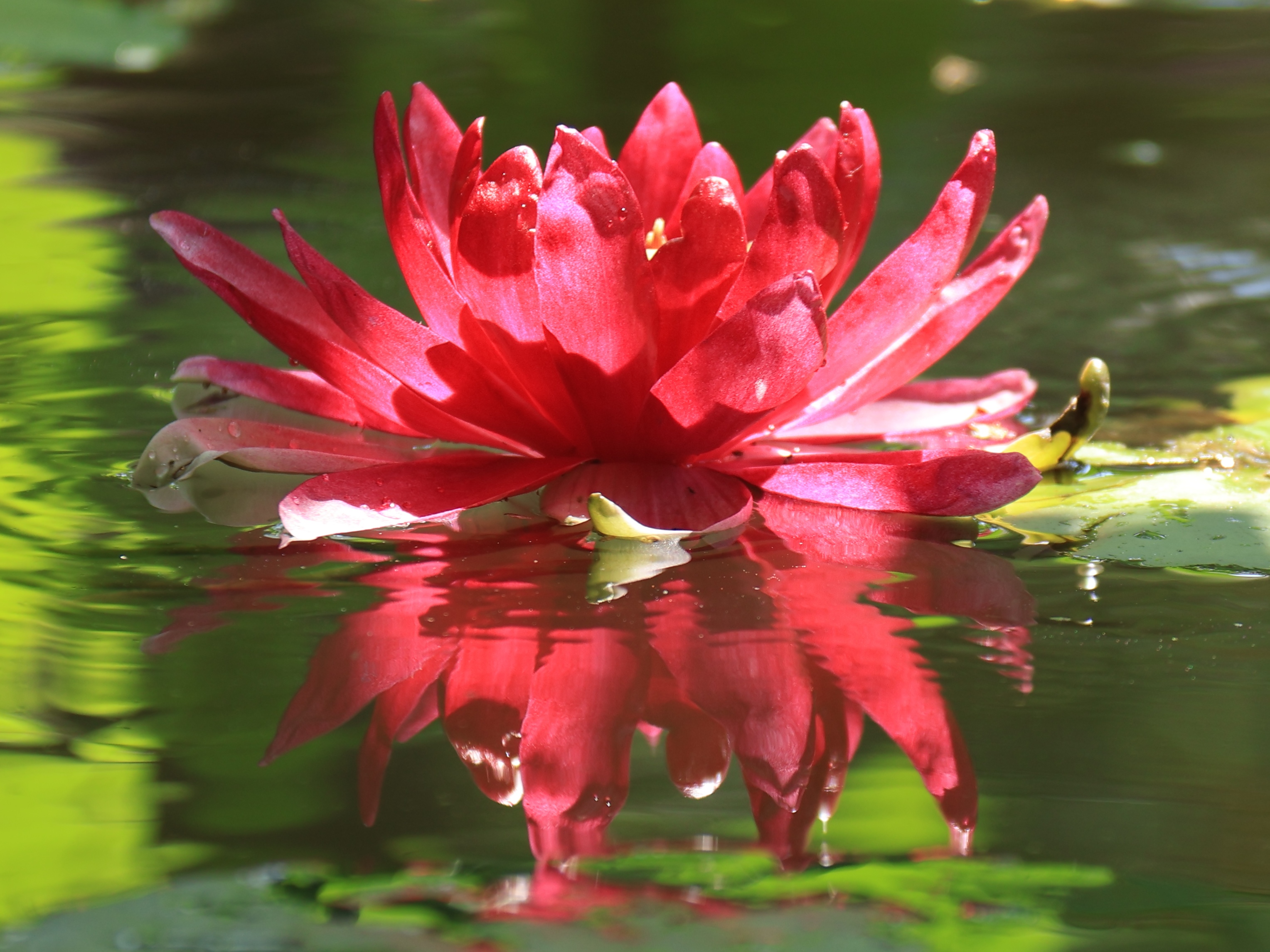 "山东邂逅美"摄影大赛