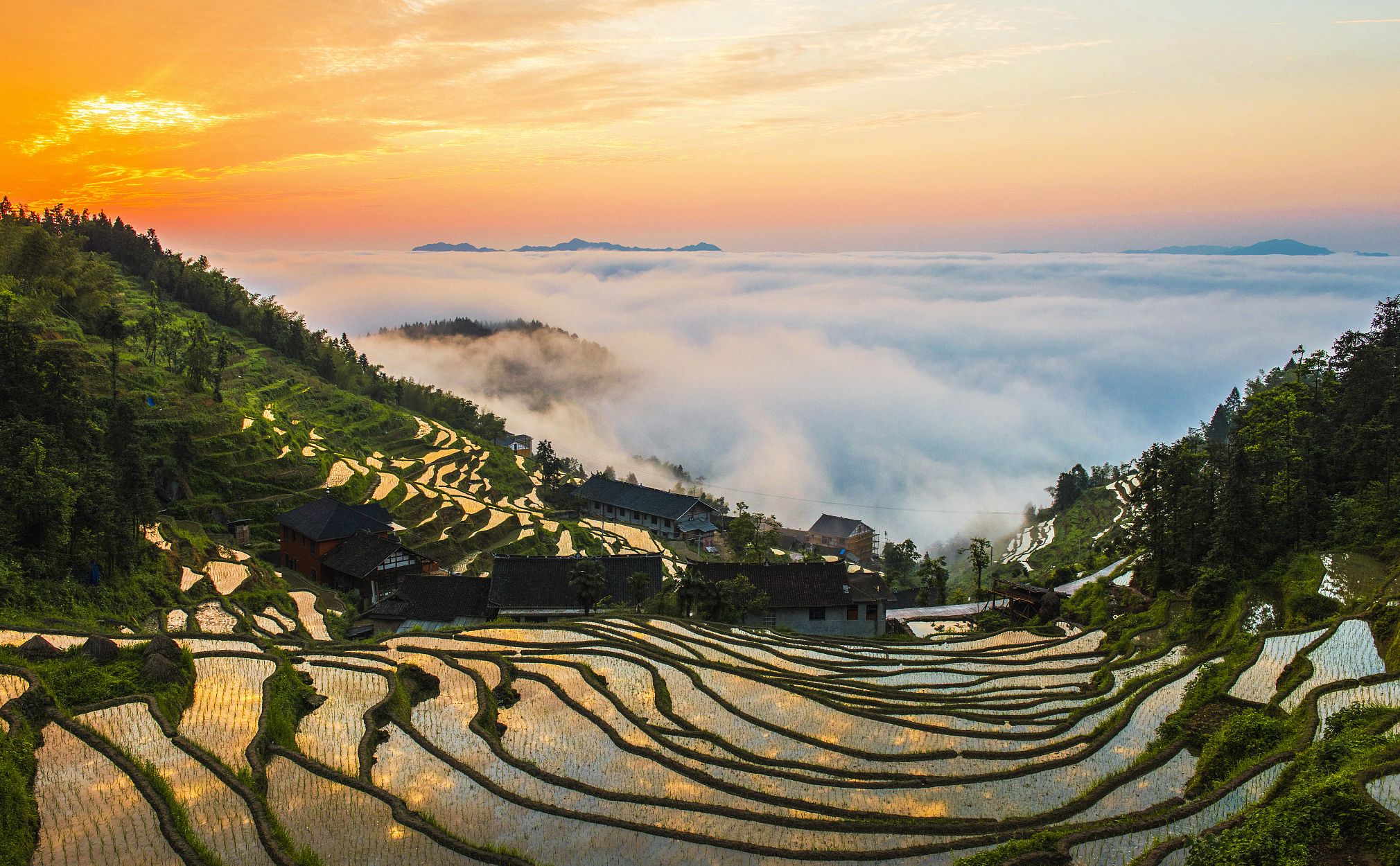 天人合一 壁纸图片