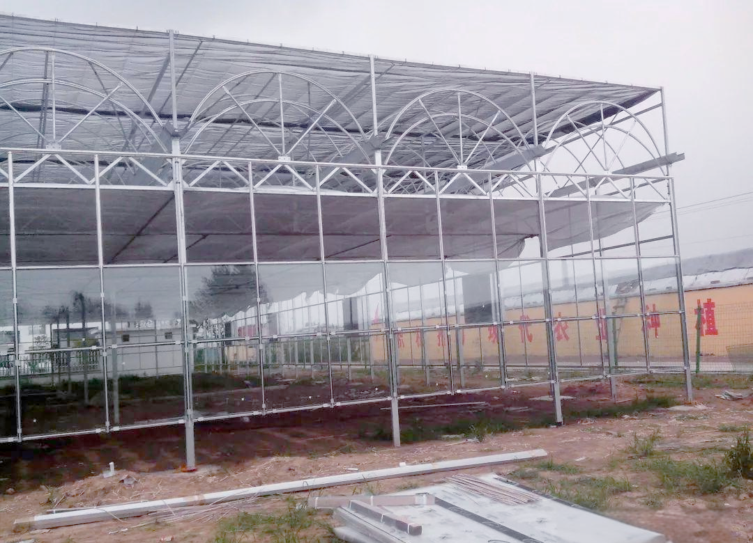 从立柱到棚膜:全面解读大棚结构与建造材料