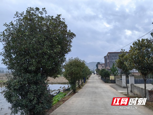 宜章县黄沙镇:绿化助力乡村风貌提质