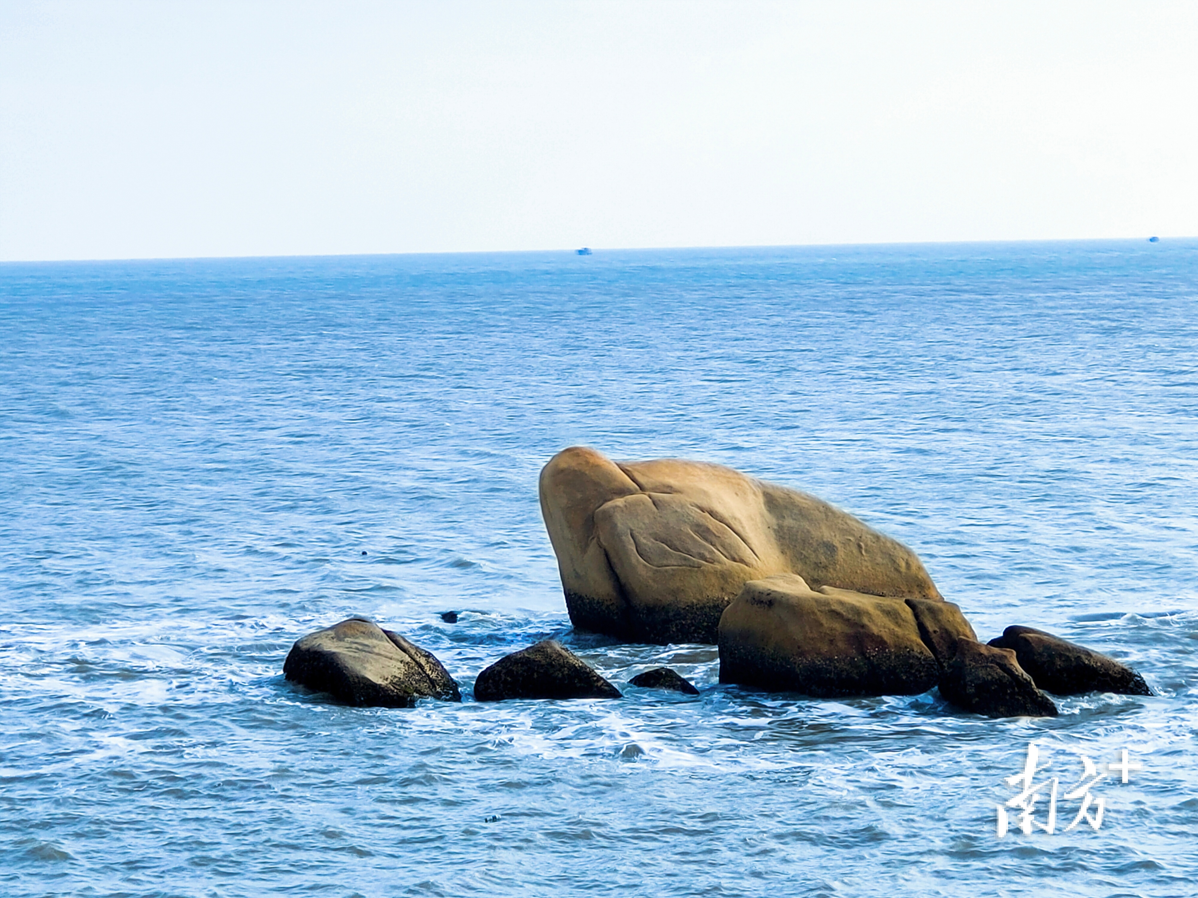 中华白海豚现身江门台山景区,专家提醒:可喜爱勿错爱