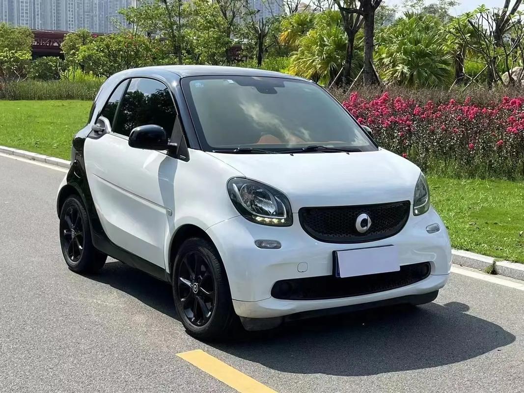 梅赛德斯-奔驰携手吉利汽车集团,成立了全球合资公司,将smart品牌引领