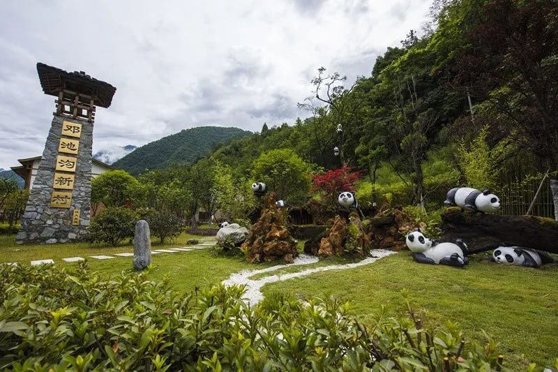 体验四川大熊猫栖息地之旅,欢迎来到圆滚滚的家
