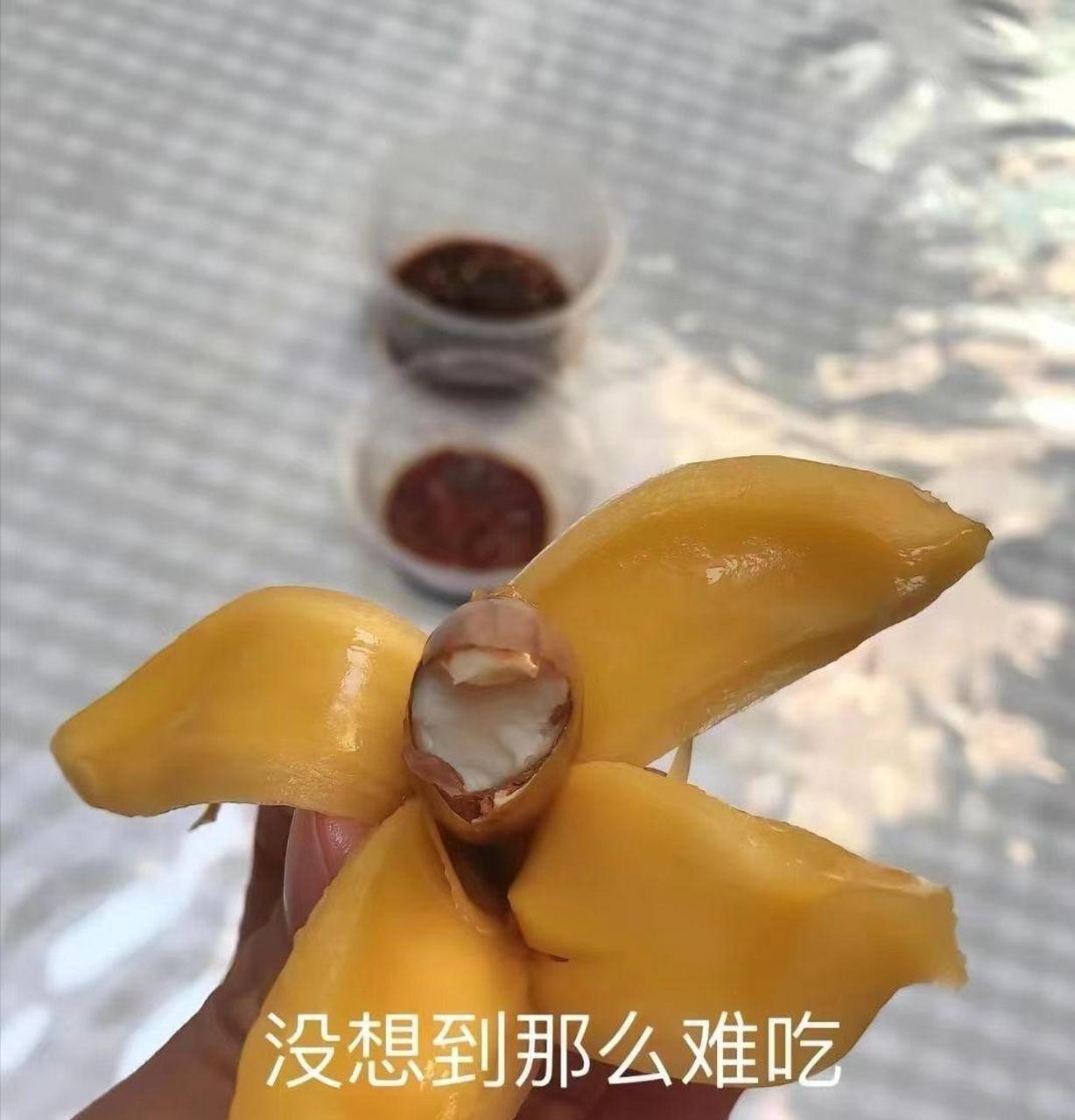 朋友第一次吃菠蘿蜜,給我發了這三張圖! 我要怎麼安慰她呢?