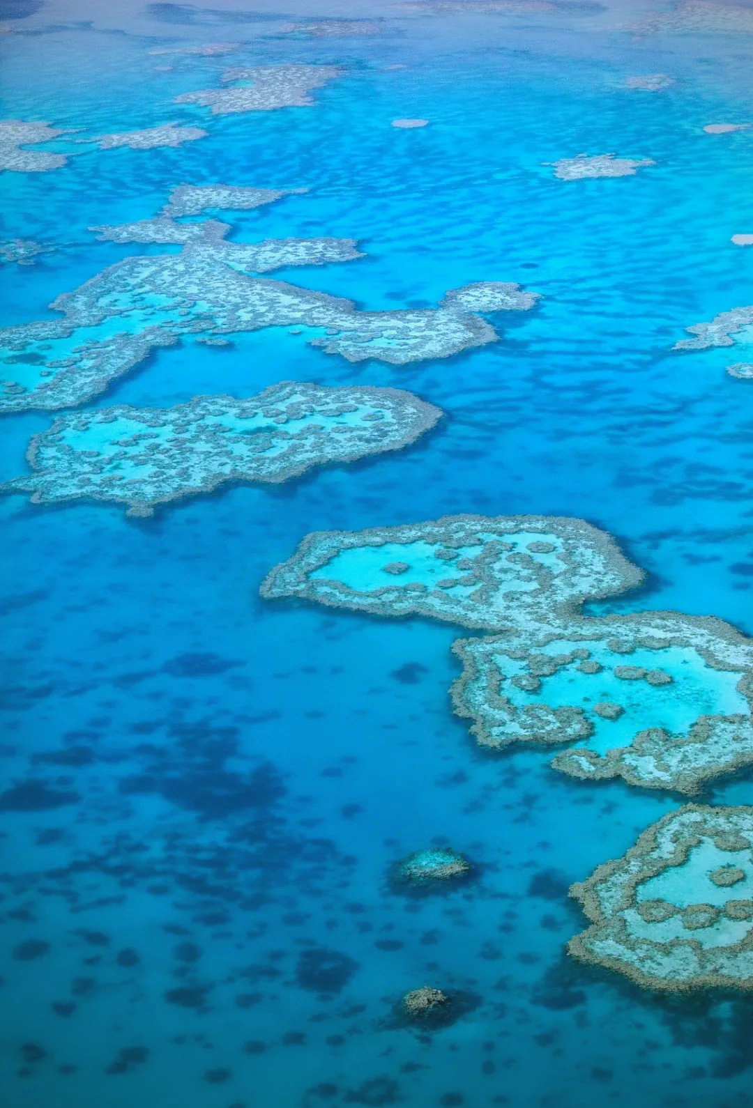 探索大堡礁:体验多样海洋与空中美景