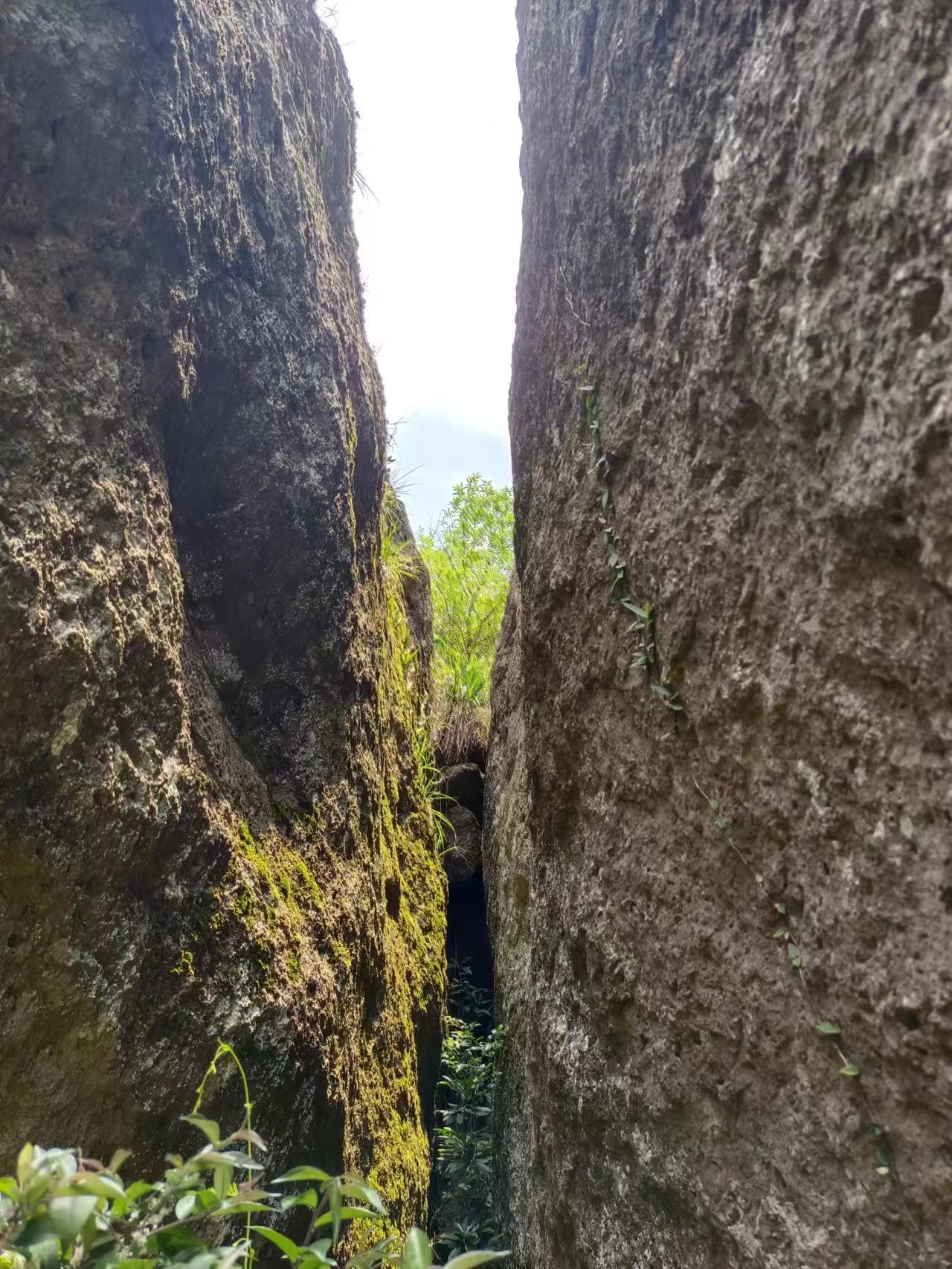 仙居县仙姑岩,人生岁岁有风景,光阴寸寸有故事,树园成仙代代传