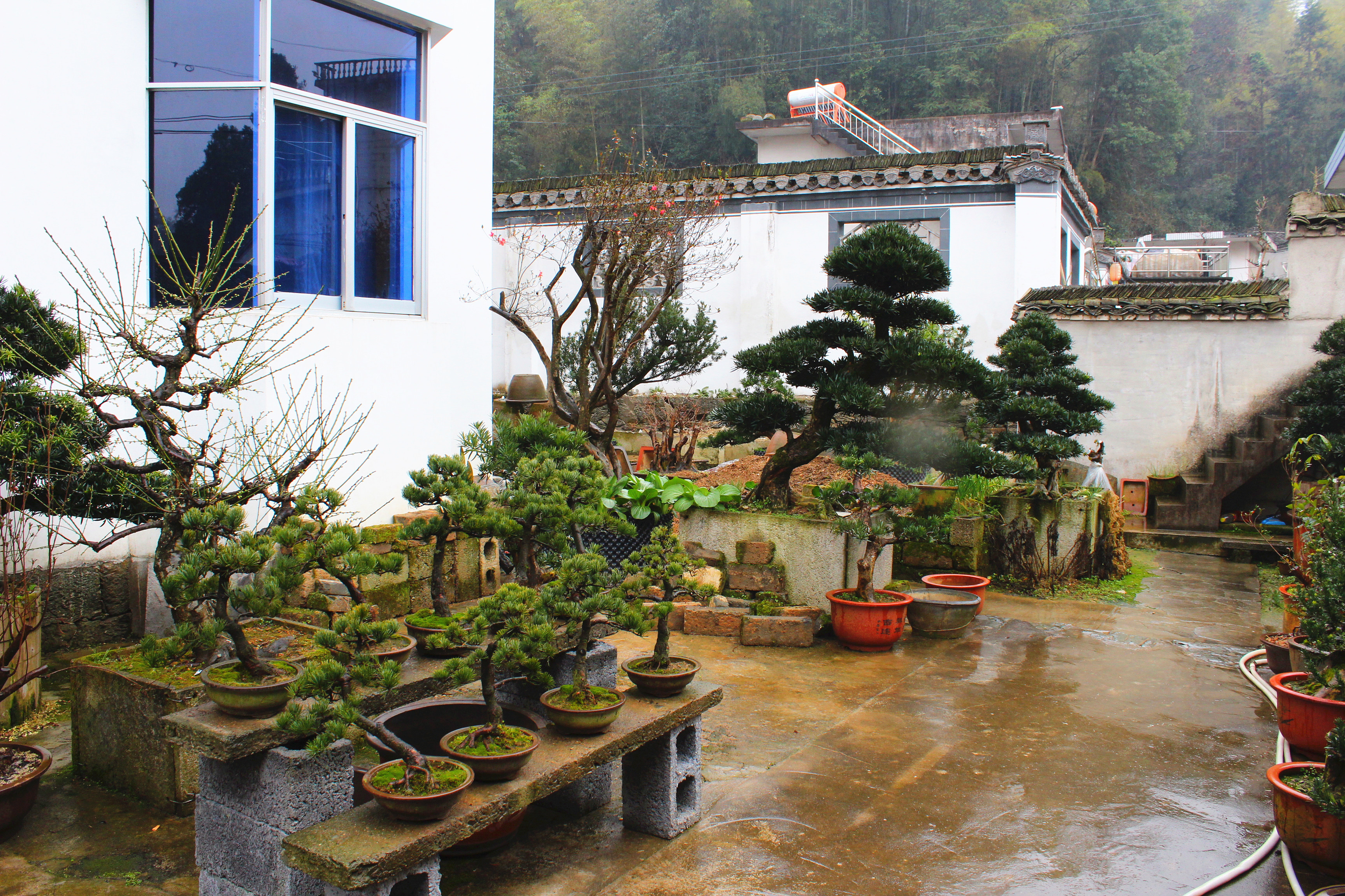 歙县卖花渔村住宿图片