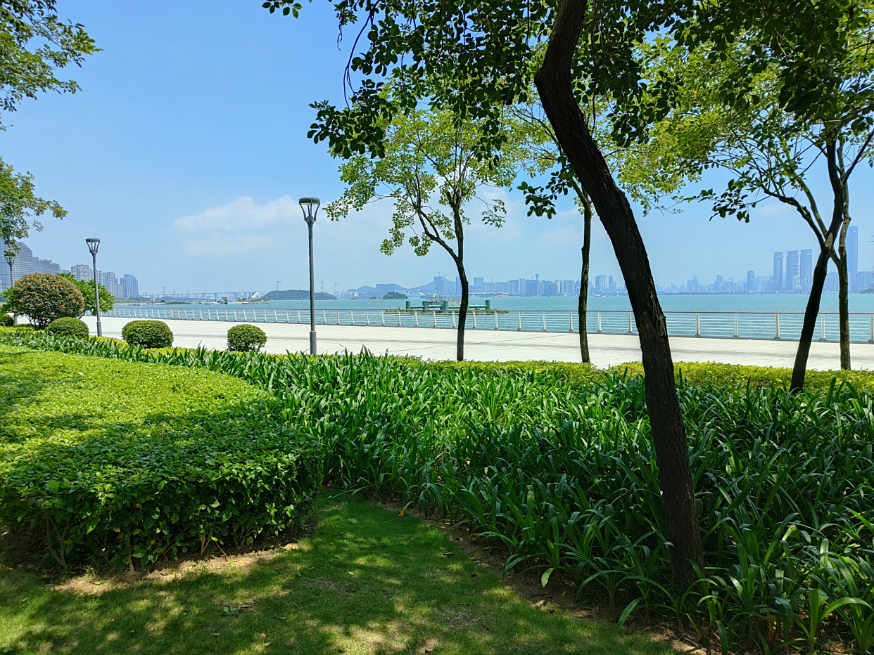 海沧湾是一座沿海湾线打造出的带状公园,厦门旅游的绝佳地方