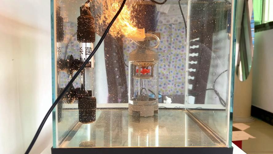 杀菌灯放在鱼缸里,什么位置最好?