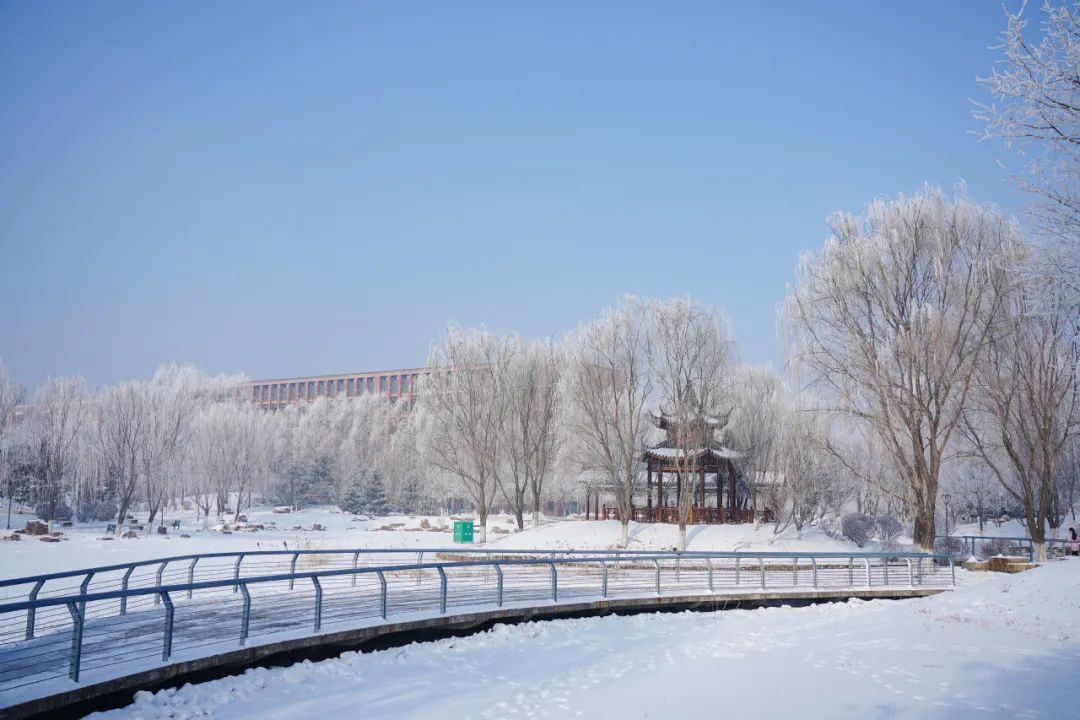 东北农业大学雪景图片