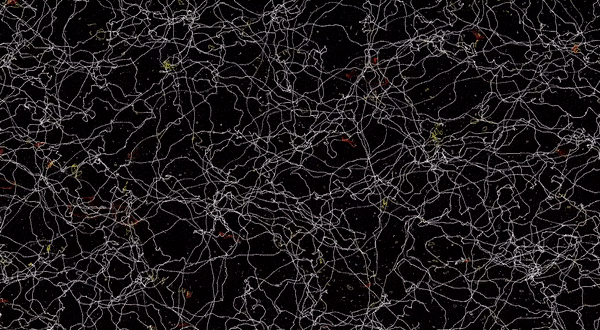 宇宙大爆炸又有新发现?物理学家观测到宇宙弦新迹象,但仍需证实