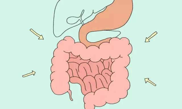 腸道健不健康,排便能看出來?提醒:這4類高危人群重點篩查