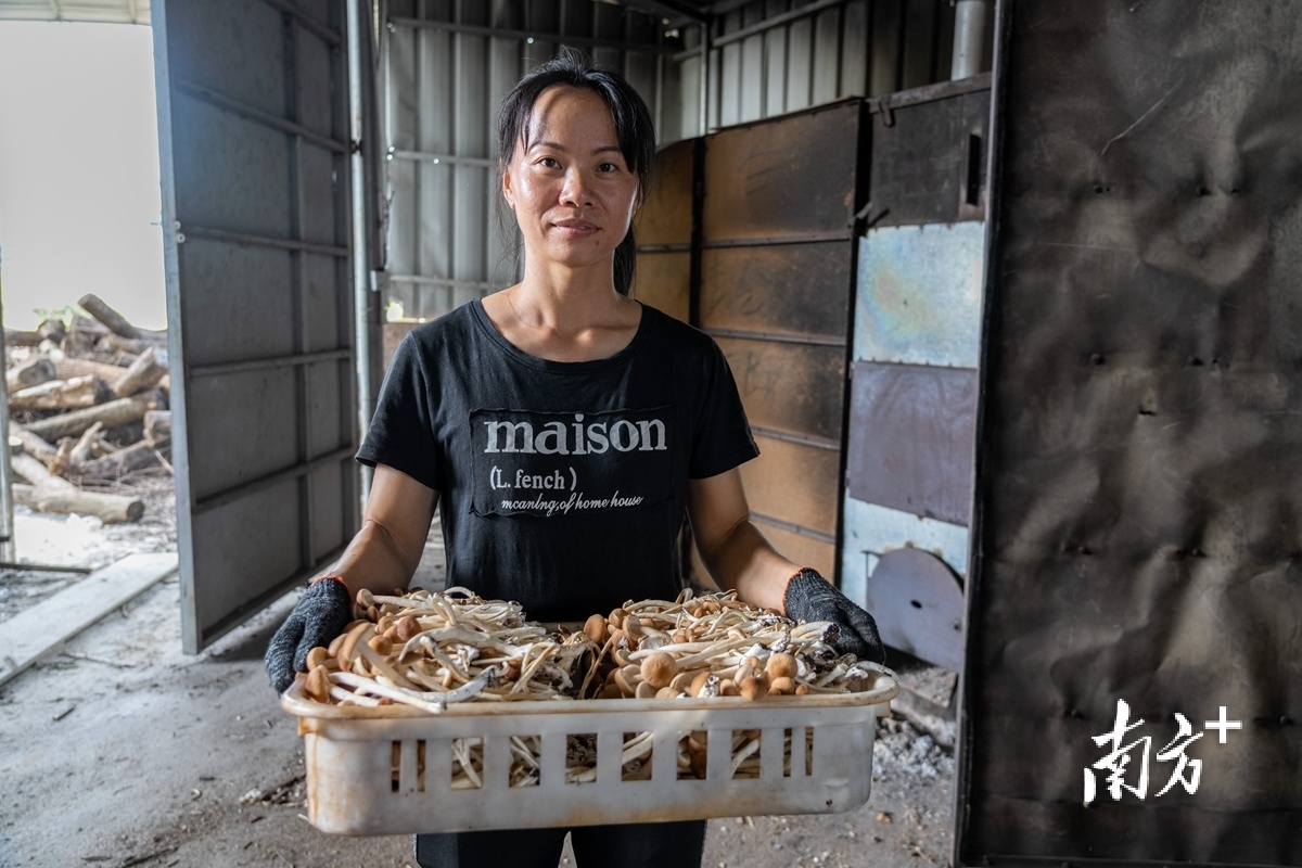 五华华城黄埔村:状元故居"挖宝" 和美乡村致富|聚焦"百千万" 走访"