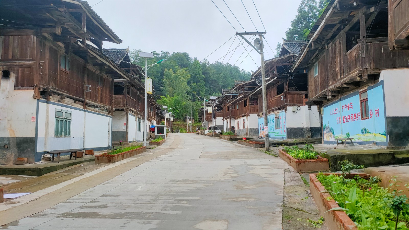 从江县庆云村:发挥"人大代表 "扮靓庭院颜值美