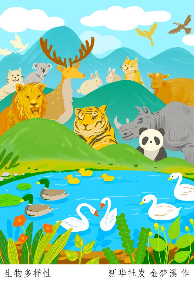 「国际生物多样性日」生物多样性