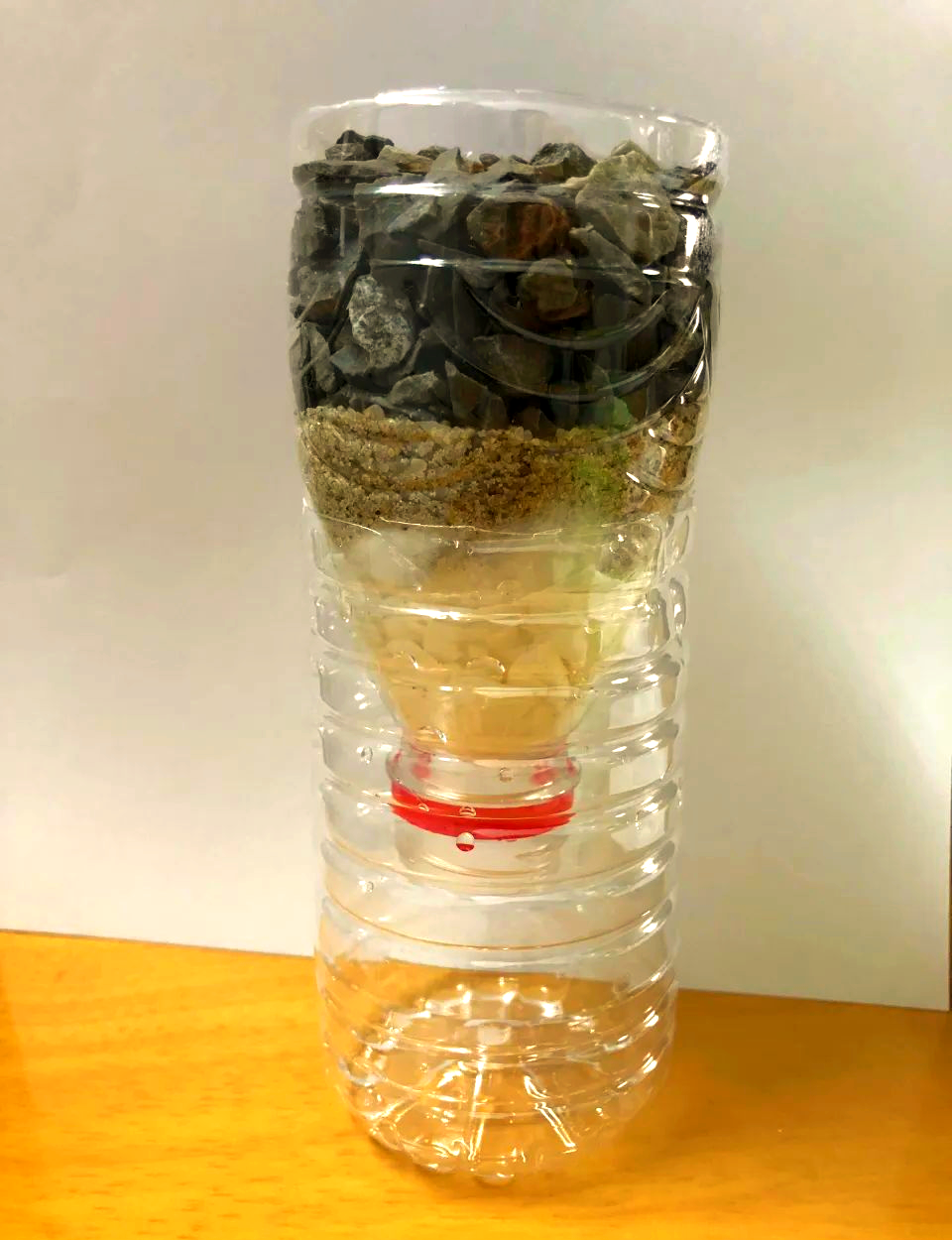 制作简易过滤器,探索过滤的奥秘