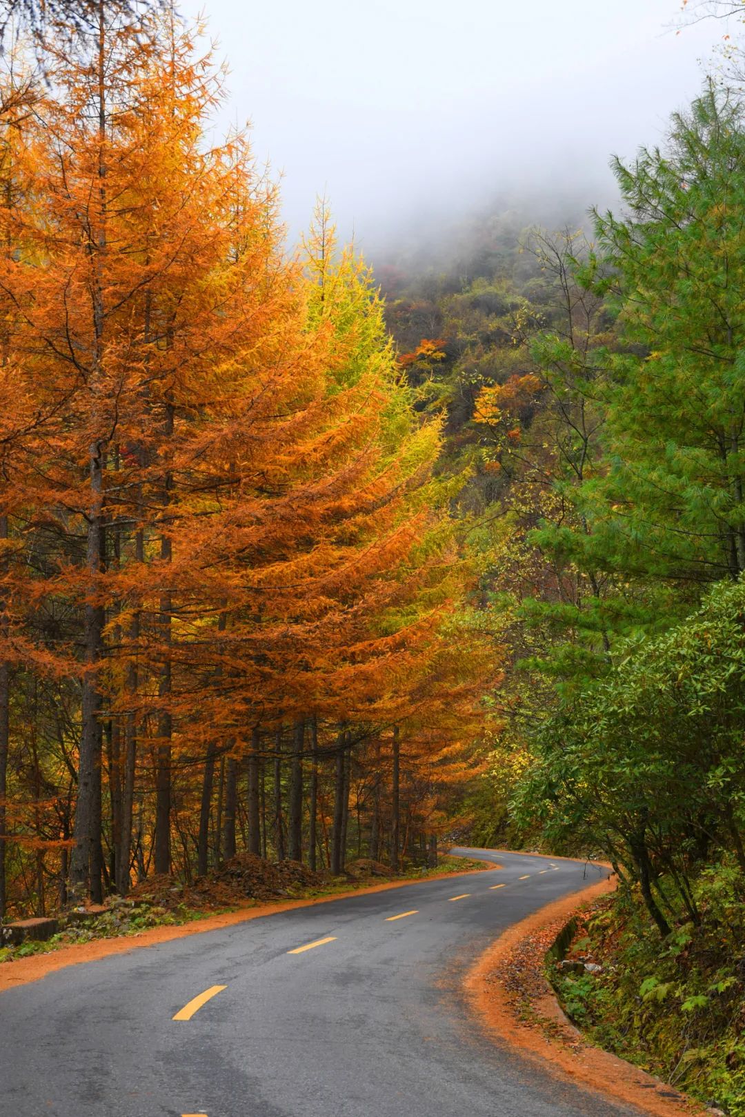 陕西最美10处秋景——绝美赏秋圣地,看看哪一个你还未曾去过