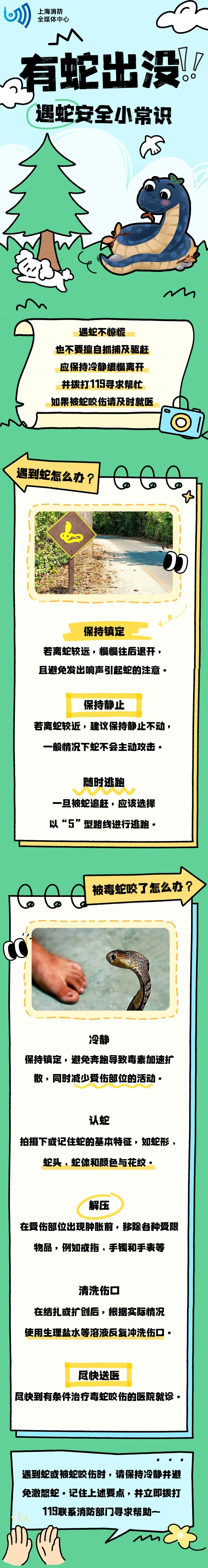 事发上海！小蛇溜进地铁站......多地出现过！