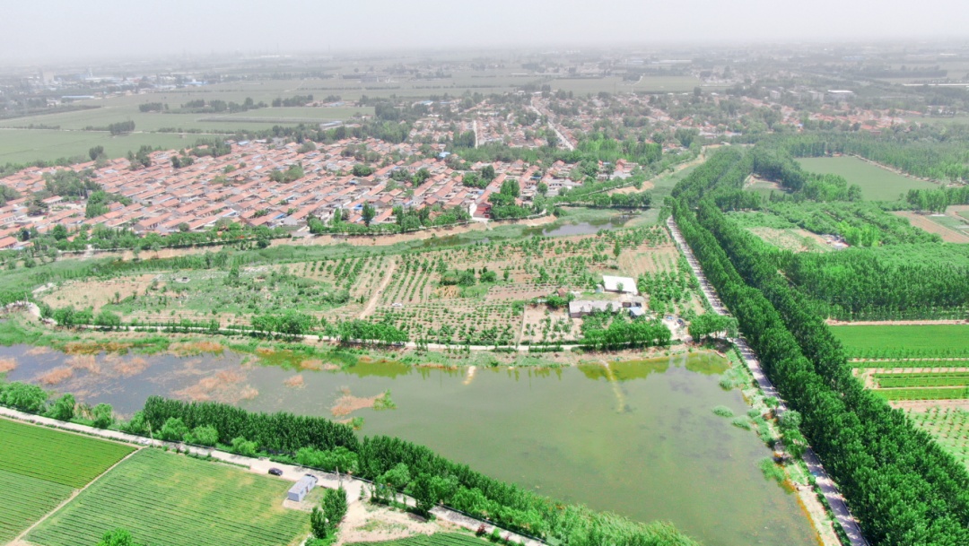 「朱台镇」以新担当新作为奔赴"共同富裕"新征程