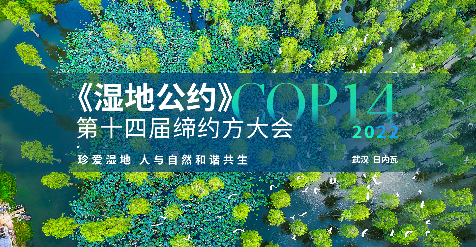 cop14丨正和生态邀您共赏湿地魅力