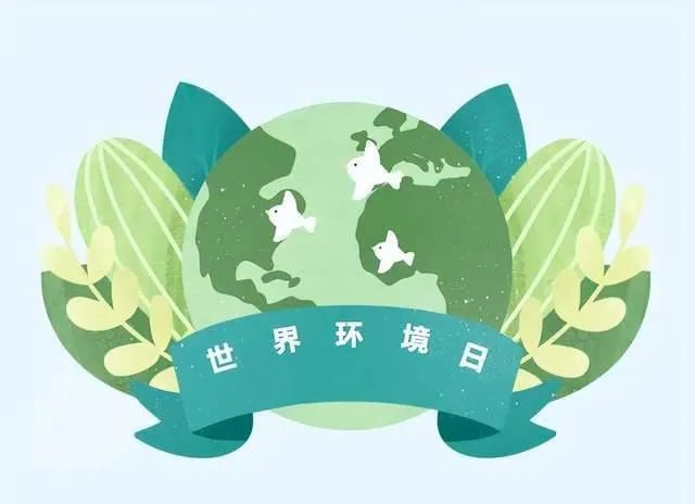 世界环境日丨保护环境 从我做起