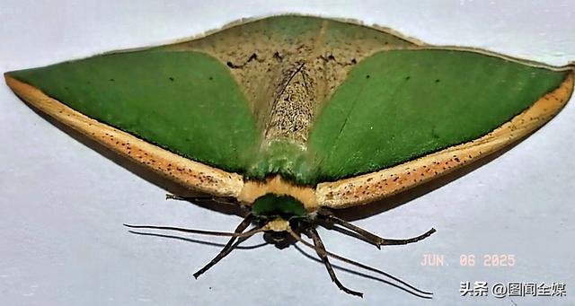 陕西:镜头下的微观之美