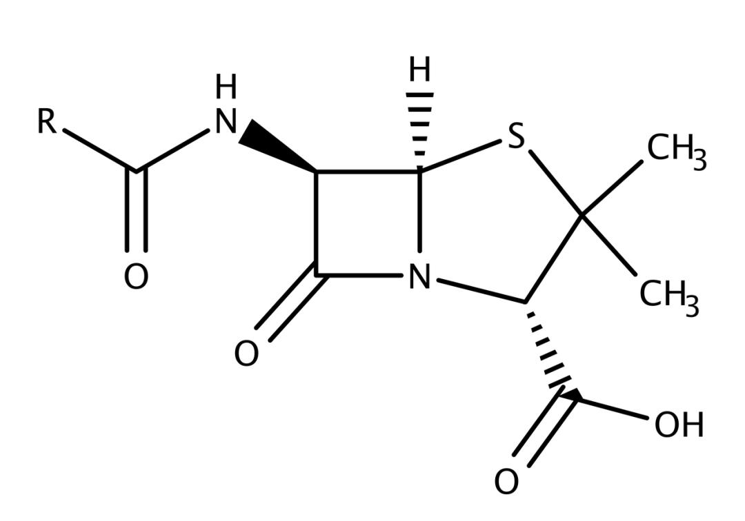 抗生素药物解读——青霉素,你会用吗?