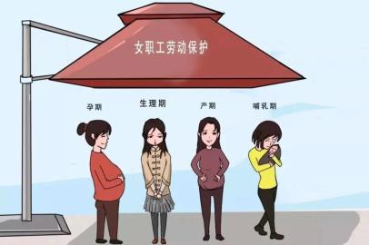 专门保障"她"权益!这部法您了解多少?