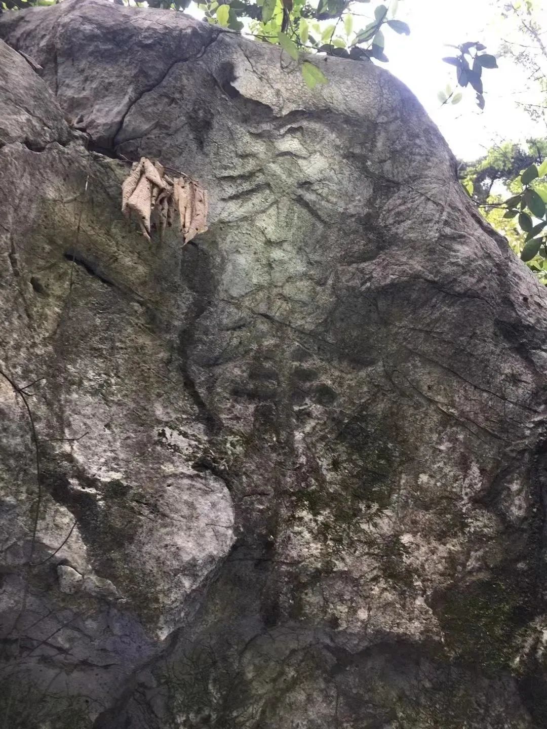 洞天尋隱·西湖紀丨吳山福地:杭州青衣,紫陽二洞天記