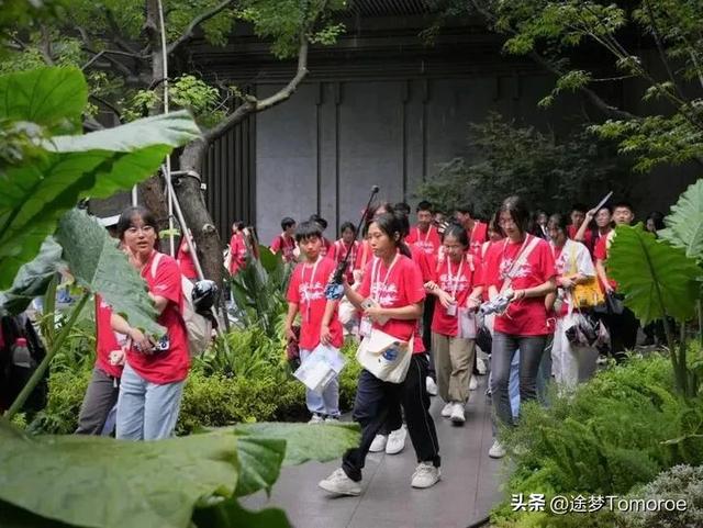 山桥集团(山桥集团是国企吗)