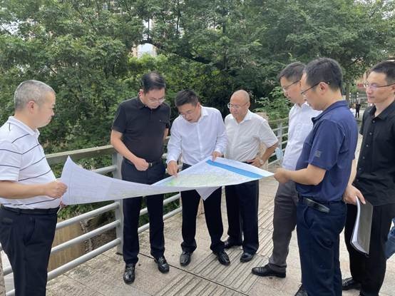 龙泉驿区总河长周健督导调研央督交办件办理情况和西江河河长制工作