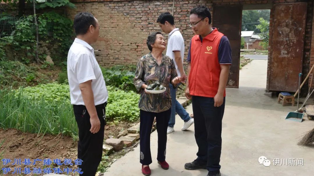 伊川江左:浓浓粽香迎端午