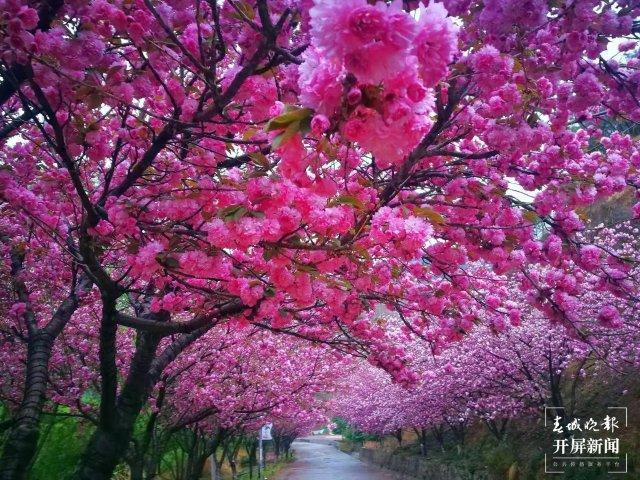 昭阳区有什么玩的(昭阳区哪些地方好玩)