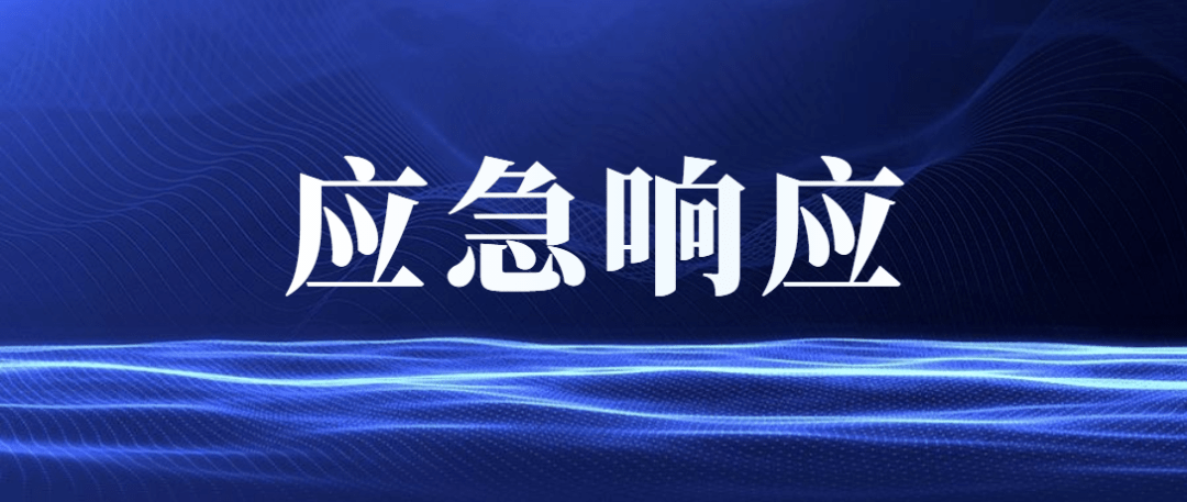 应急响应