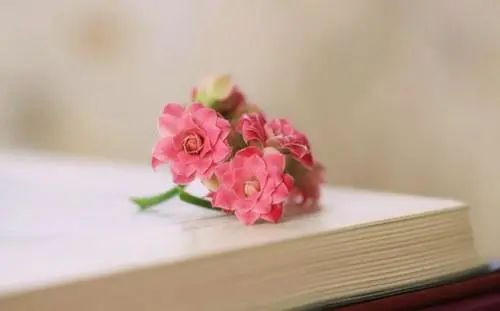 王志喜「有爱好终生不倦(外一首」主播|芳华