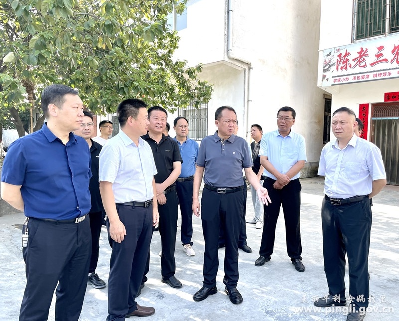 陈华调研"平利东"沿线环境综合整治工作