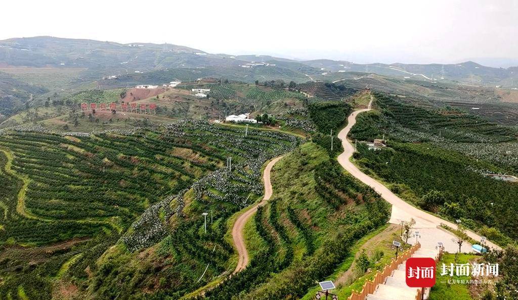 走进"中国石榴之乡"会理:打造百亿级石榴"红产业" 农文旅绘就乡村振兴