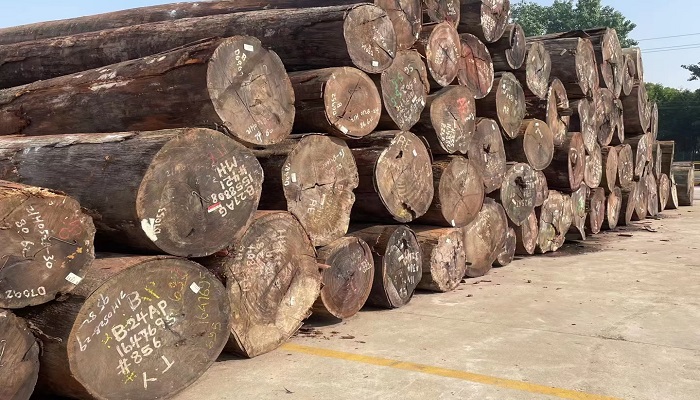 紫罗兰木材是什么树