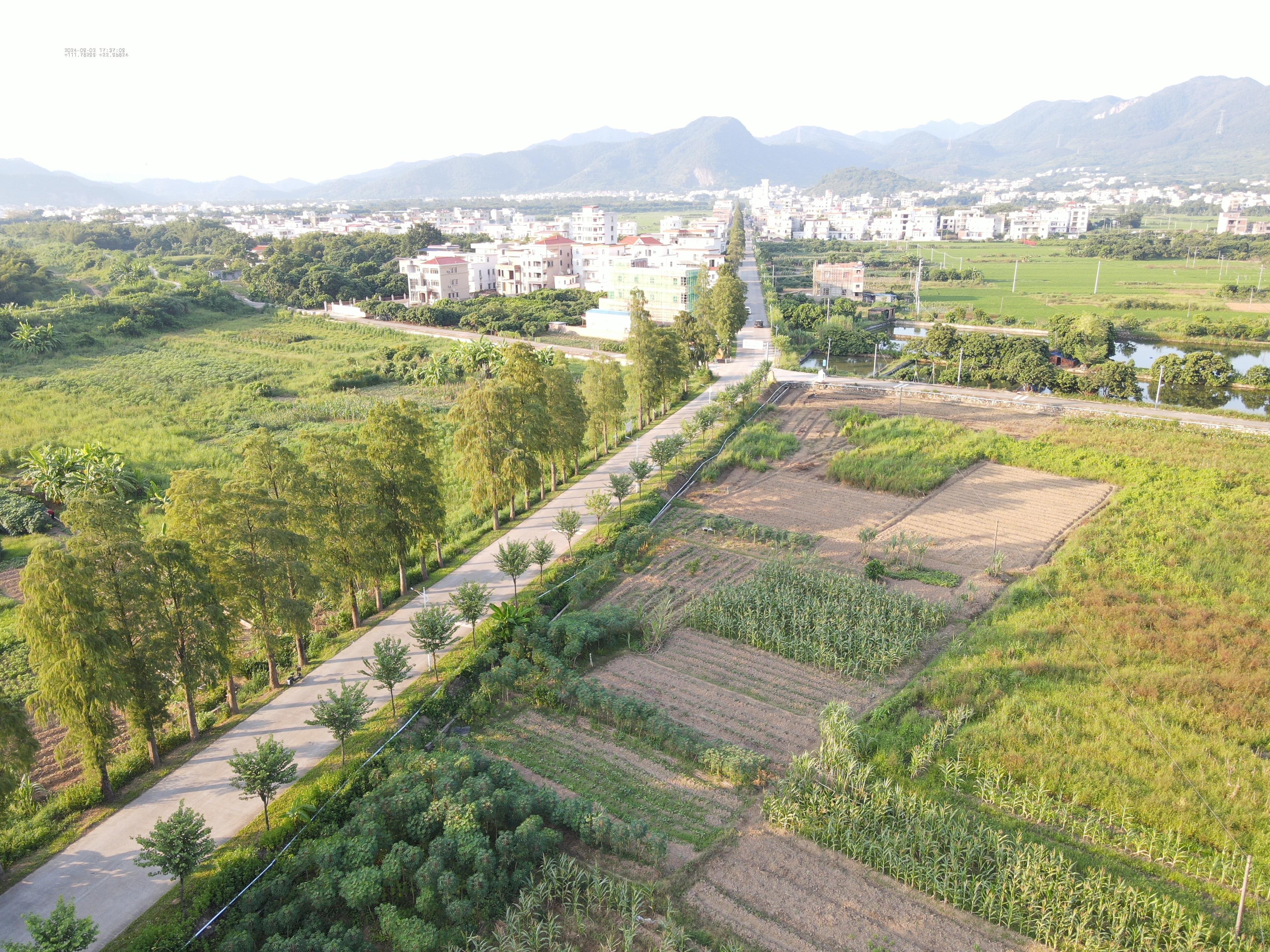 云浮市郁南县东坝镇图片