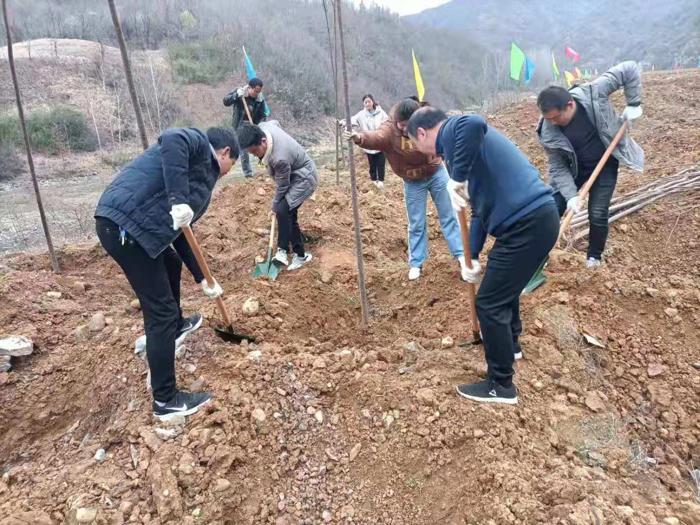 西峡县西坪镇:年年植树树成荫,代代造林林成森