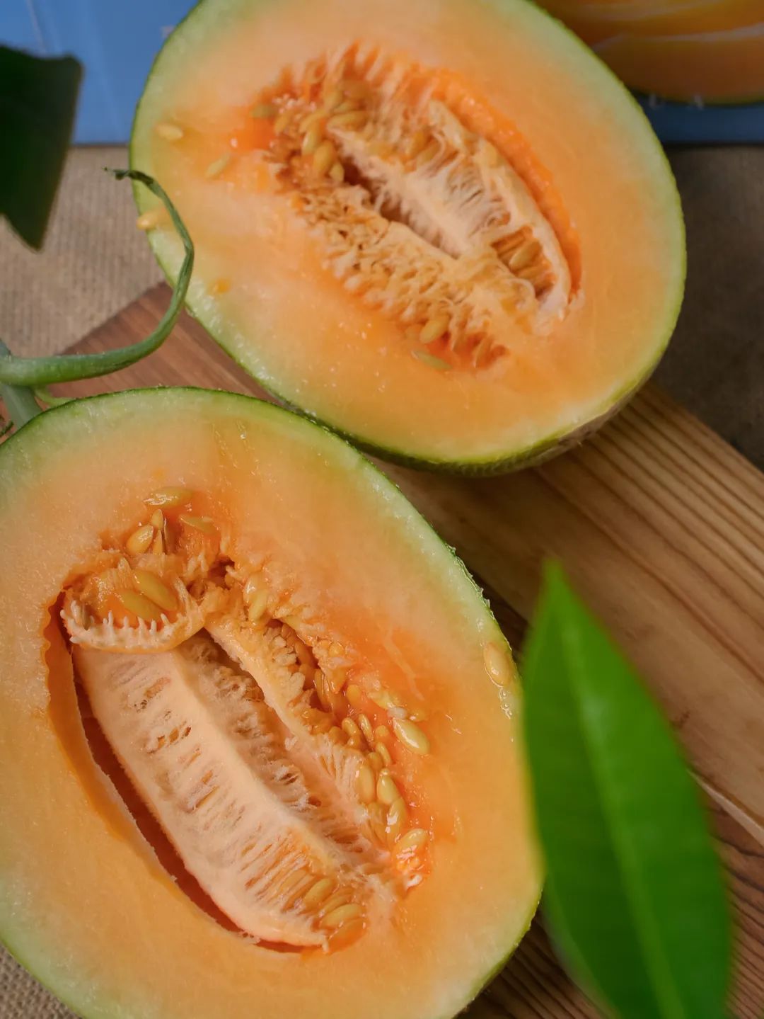 正宗新疆鄯善老品种·哈密瓜,沁甜冰爽,独特蜜瓜味,吃一次想一年!