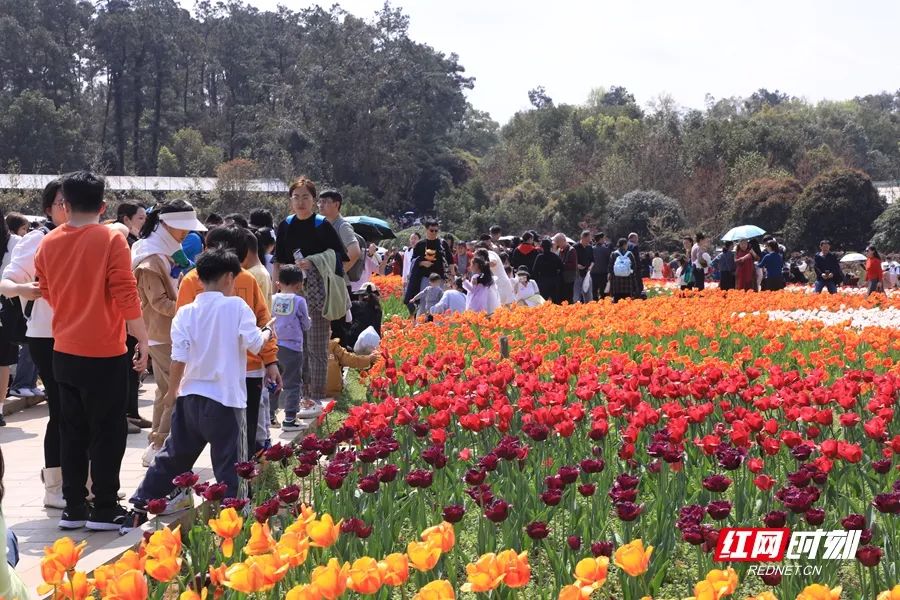 湖南省植物园路线图片