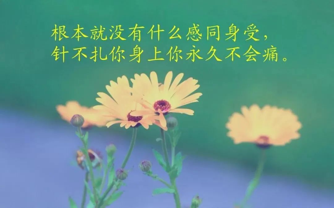 适合发朋友圈感悟穿透人心的句子,句句让人感同身受